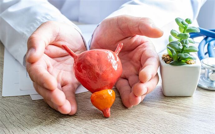 prostate inflammation in men
