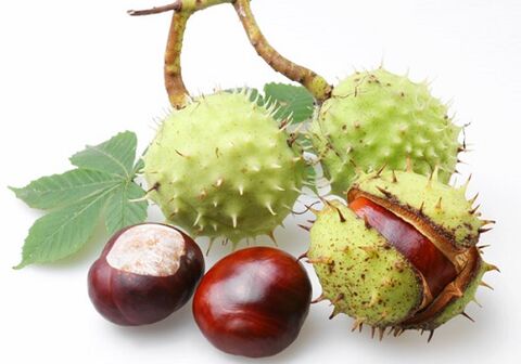 Chestnut fruits are rich in many valuable vitamins and microelements that are beneficial for the prostate.